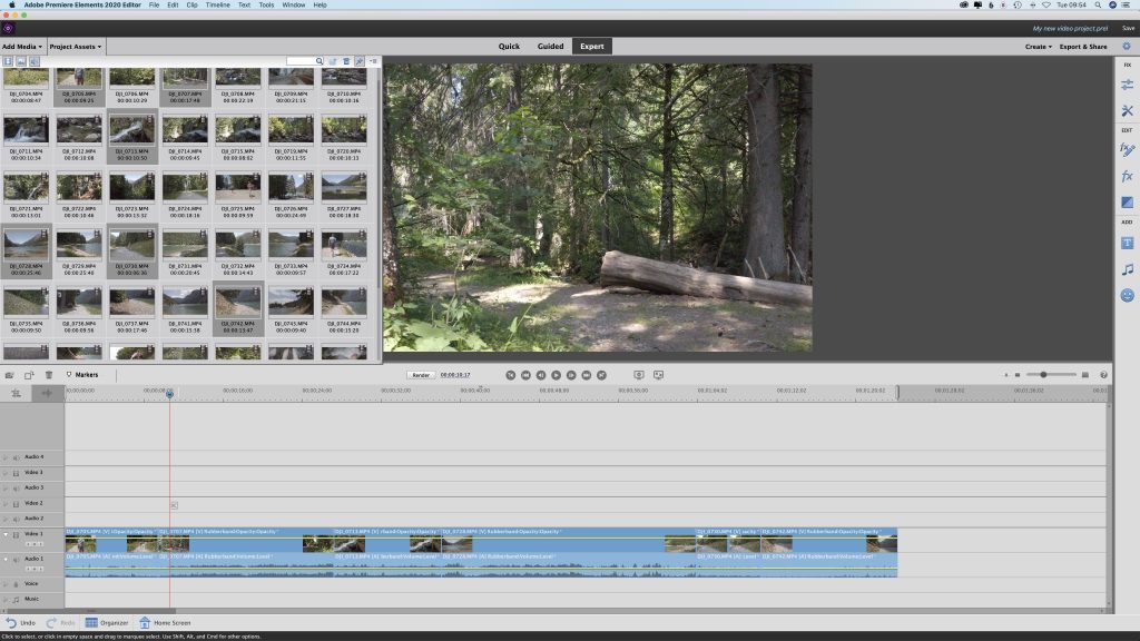 what is adobe premiere elements 13 for
