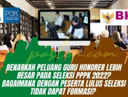 Benarkah Peluang Guru Honorer Lebih Besar Pada Seleksi PPPK 2022?