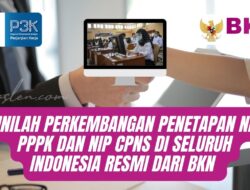 Inilah Perkembangan Penetapan NI PPPK dan NIP CPNS di Seluruh Indonesia Resmi dari BKN
