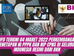 Info Terkini 04 Maret 2022 Perkembangan Penetapan NI PPPK dan NIP CPNS di Seluruh Indonesia Resmi dari BKN