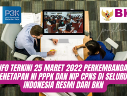Info Terkini 25 Maret 2022 Perkembangan Penetapan NI PPPK dan NIP CPNS di Seluruh Indonesia Resmi dari BKN