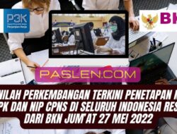 Inilah Perkembangan Terkini Penetapan NI PPPK dan NIP CPNS di Seluruh Indonesia Resmi dari BKN Jum’at 27 Mei 2022