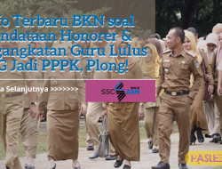 Info Terbaru BKN soal Pendataan Honorer & Pengangkatan Guru Lulus PG Jadi PPPK, Plong!